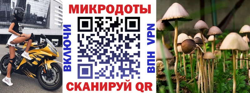 Псилоцибиновые грибы Psilocybe  это телеграм  Сокол 